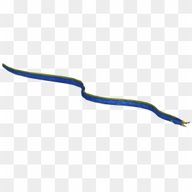 Grass Snake, HD Png Download - invisible png