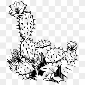 How To Set Use Cactus Svg Vector , Png Download - Black And White Cactus Clip Art, Transparent Png - cactus silhouette png