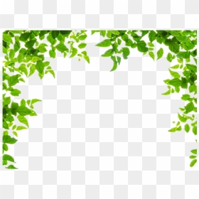Ivy Border Png - Green Leaves Png Border, Transparent Png - ivy border png