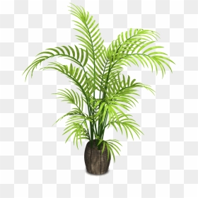 Woodgrain Mimoscartoon Transparent - Transparent Background Potted Plant Png, Png Download - jungle plants png