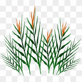 Preview - Grass, HD Png Download - jungle plants png