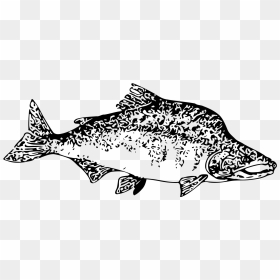 Fish Clip Art, HD Png Download - fish clipart png