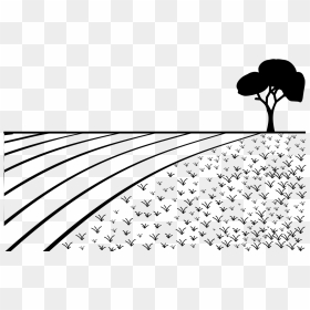 Field Png Download - Field Clipart Black And White, Transparent Png - field png
