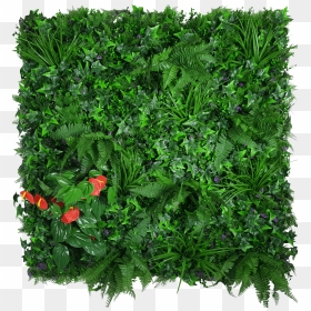 Artificial Green Wall Hedge Panel Mixed Jungle - Hedge Wall Jungle, HD Png Download - jungle plants png