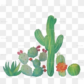 Cactus Water Color Png - Water Color Cactus Clip Art, Transparent Png - cactus silhouette png