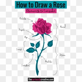 The Ultimate List Of Resources And Tutorials For How - Acrylic Marker Rose, HD Png Download - rose drawing png