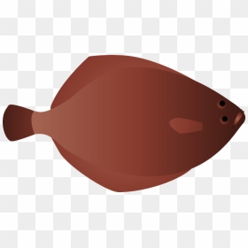 Righteye Flounder Fish Clipart - California Flounder, HD Png Download - flounder png