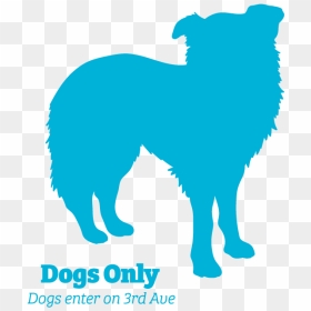 Dog Jumps, HD Png Download - dog png icon