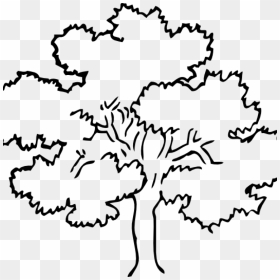 Transparent Tree Outline Png - Transparent Tree Clipart Black And White Png, Png Download - tree outline png