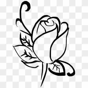 Drawn Rose Art - Free Rose Digital Drawing, HD Png Download - rose drawing png