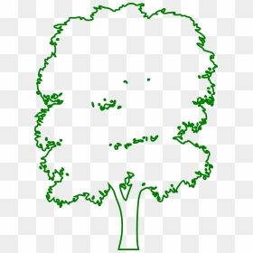 Green Outline Drawing Of A Tree - Green Tree Outline Png, Transparent Png - tree outline png