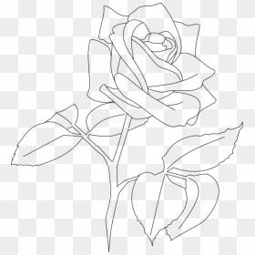 Transparent Flower Line Png - Rose Outline Transparent Background, Png Download - rose drawing png