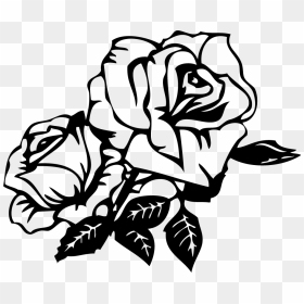 Rose Drawing Cdr Clip Art - Black And White Roses Clipart, HD Png Download - rose drawing png