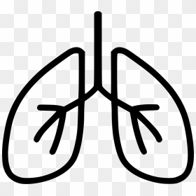 Breathe Png - Transparent Lungs Icon Png, Png Download - fire breath png