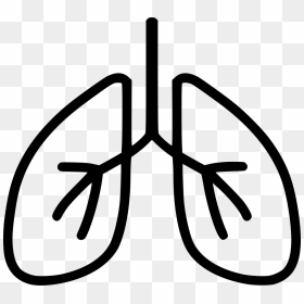 Breathe Png - Transparent Lungs Icon Png, Png Download - fire breath png