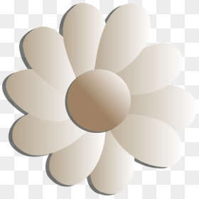 White Flower Clipart Png, Transparent Png - floral vector png