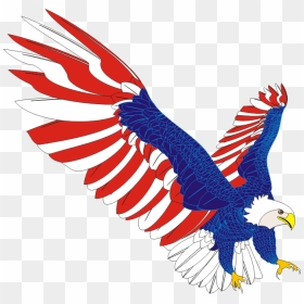 Thumb Image - American Eagle Art Png, Transparent Png - american eagle png