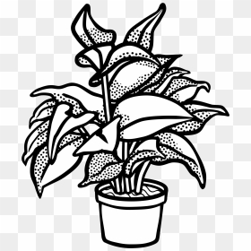 Watercolor Potted Plants Clipart, Potted Plants, Cactus, - Clip Art Black And White Plant, HD Png Download - jungle plants png