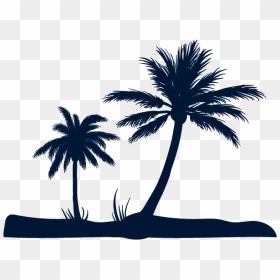 Beach Vector Png, Transparent Png - palm tree vector png