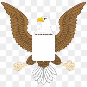 Us Eagle Png - Flying American Eagle Clipart, Transparent Png - american eagle png