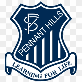 Transparent Pennant Png - Pennant Hills Public School, Png Download - pennant png