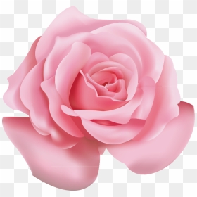 Beach Rose Pink Flower Icon - Transparent Pink Flower Png, Png Download - pink flower crown png