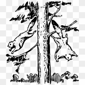 Animals, Outline, Tree, Cartoon, Flying, Squirrel - Flying Squirrels To Draw, HD Png Download - tree outline png