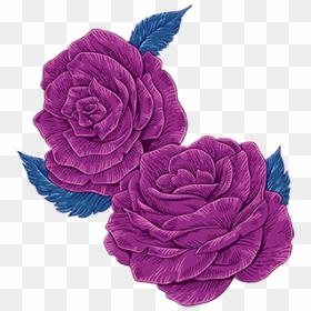 Rosa × Centifolia, HD Png Download - floral vector png