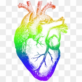 Rainbow Heart , Png Download - Put Your Heart Into It Marrow, Transparent Png - rainbow heart png