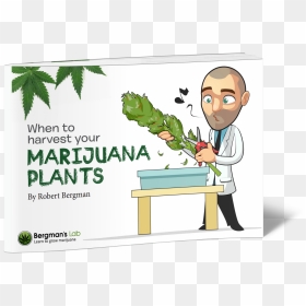 Robert Bergman I Love Growing Marijuana, HD Png Download - marijuana plant png