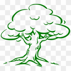 Drawing Images Of Mango Tree, HD Png Download - tree outline png