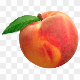 Peach Png Image File - Transparent Peach Png, Png Download - peaches png