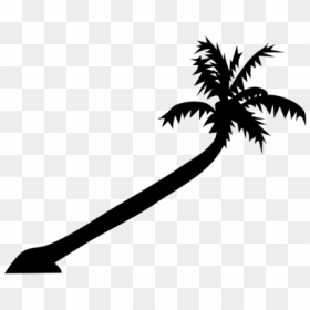 Free Vector Palm Tree - Sideways Palm Trees Transparent, HD Png Download - palm tree vector png
