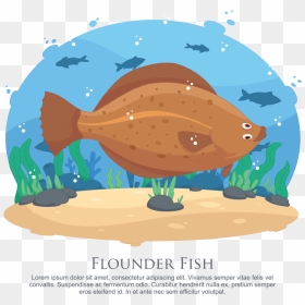 Flounder Fish Vector Illustration - Illustration, HD Png Download - flounder png