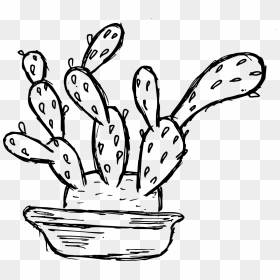 6 Cactus Drawing 5 - Cartoon, HD Png Download - cactus silhouette png