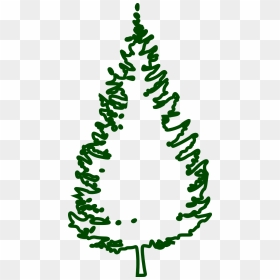 Fir Vector Graphics,free - Transparent Christmas Tree Outline Png, Png Download - tree outline png