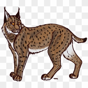 Eurasian Drawing Clip Art - Transparent Bobcat Clipart, HD Png Download - bobcat png