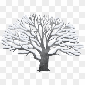 Free Clipart Winter Tree Vector Transparent Stock Winter - Winter Tree Clipart Png, Png Download - winter tree png