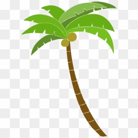 Palm Tree Vector Graphics To Download Vexels - Palm Tree Clipart Png, Transparent Png - palm tree vector png