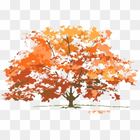 Fall Tree Svg Files For Scrapbooking Fall Tree Svg - Autumn Trees Clip Art, HD Png Download - fall tree png