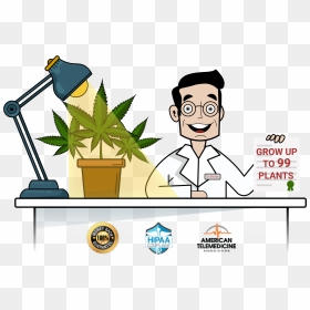 Medical Marijuana Card Online - Cartoon, HD Png Download - marijuana plant png