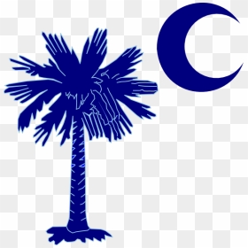 Sc Palmetto Tree - South Carolina Palmetto Tree, HD Png Download - palm tree vector png