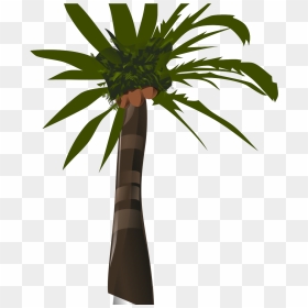 Palm Tree Clip Art, HD Png Download - palm tree vector png