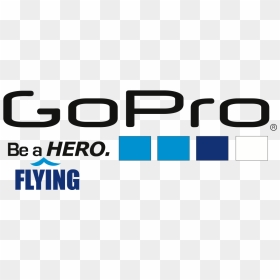 Godrone - Colorfulness, HD Png Download - drone logo png