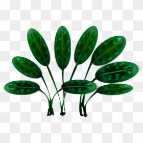 Stylizedjungleplant 08 - Illustration, HD Png Download - jungle plants png