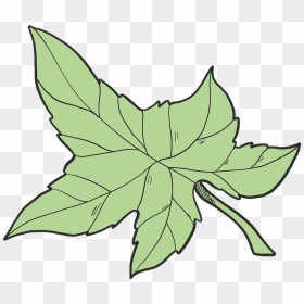 Ivy Leaf Clipart, HD Png Download - ivy border png