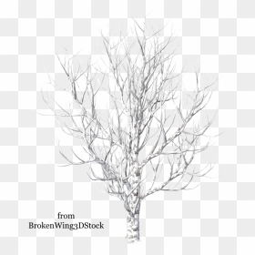 Winter Trees Drawing At Getdrawings - Portable Network Graphics, HD Png Download - winter tree png