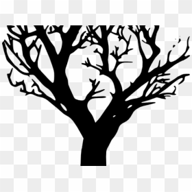 Dead Tree Clipart Tree Outline - Black Tree Vector Png, Transparent Png - tree outline png