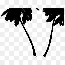 Vector Palm Tree Png, Transparent Png - palm tree vector png