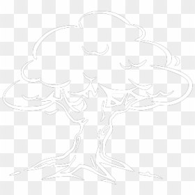Sketch, HD Png Download - tree outline png